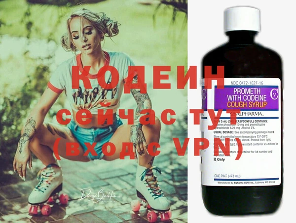 дурь Ладушкин