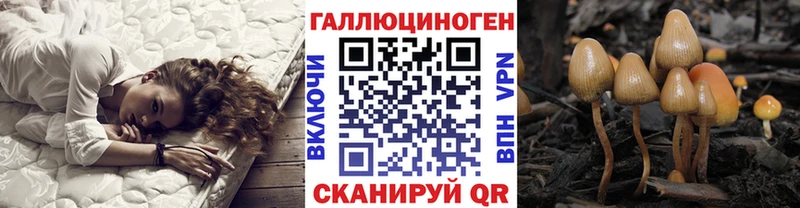Купить закладки  Называевск  Галлюциногенные грибы мицелий 